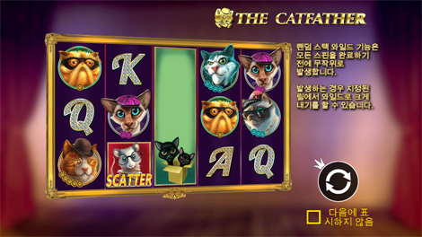 5 라이언즈 댄스