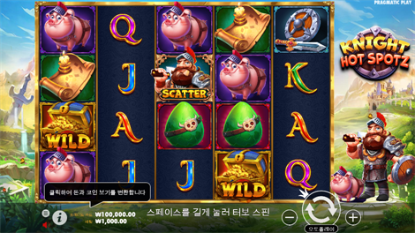 와일드 부스터
