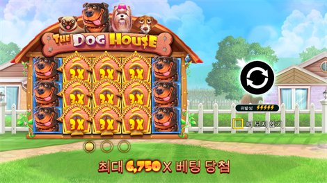 와일드 글래디에이터즈