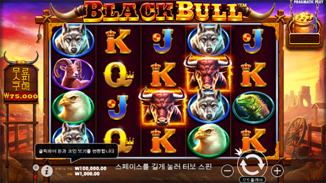 5 라이언즈 댄스