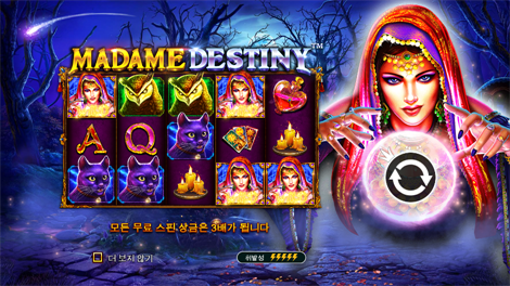 스위트 보난자 다이스