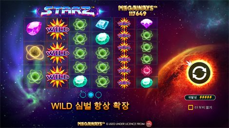 와일드 와일드 리치스