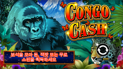 카이센즈 골드