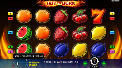 8 골든 드래곤 챌린지