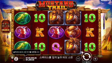 컬라설 캐시 존