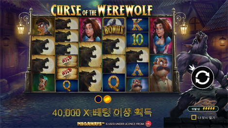 5 라이언즈 골드